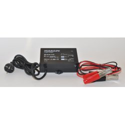 Mascot type 2440-12V/4A IP67